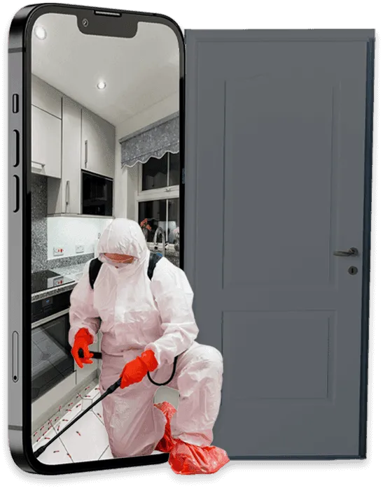immagine di un cellulare dal cui schermo si vede una cucina infestata e un disinfestatore durante l'intervento